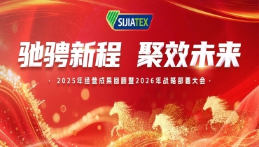 驰骋新程 聚效未来 | 德赢VWIN集团经营成果回顾及战略部署大会